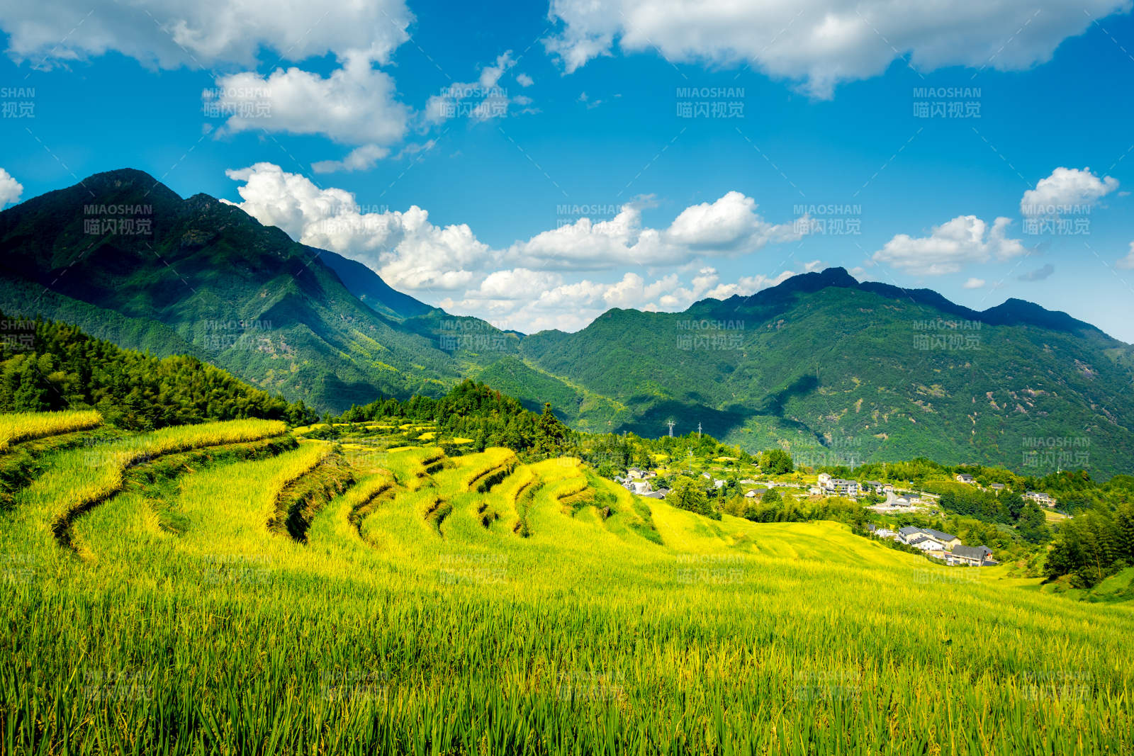 云和梯田风光图片