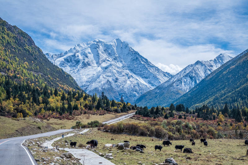 亚拉雪山风景区图片