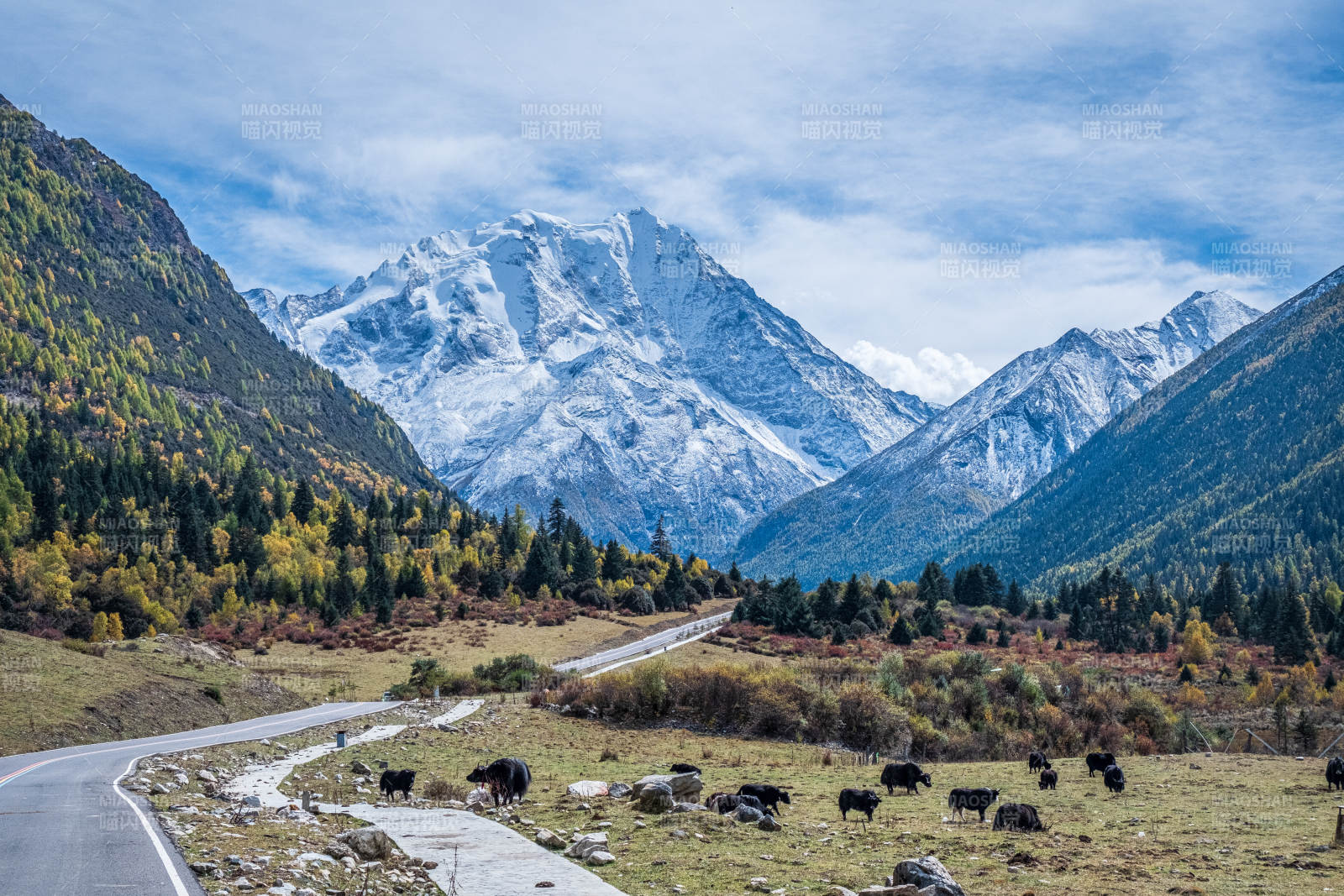 亚拉雪山风景区图片