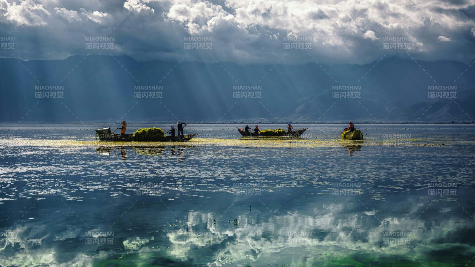 洱海上的劳作图片