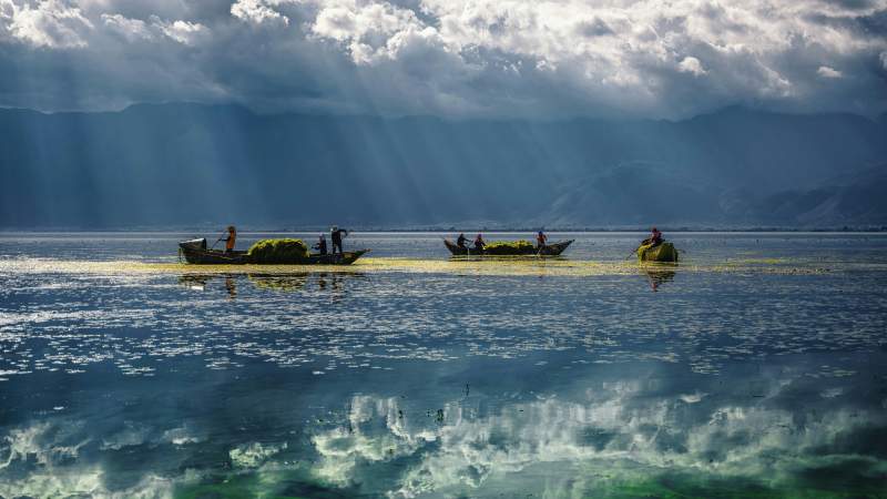 洱海上的劳作图片