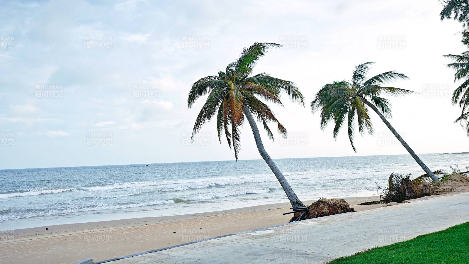 椰风海韵沙滩景图片