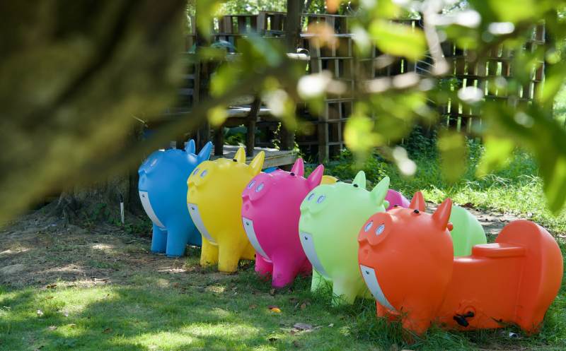 彩色小猪排排坐图片