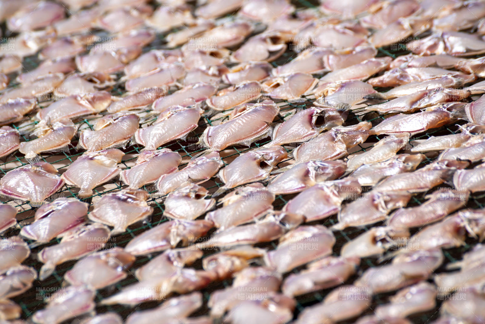 晒制的鱼干图片