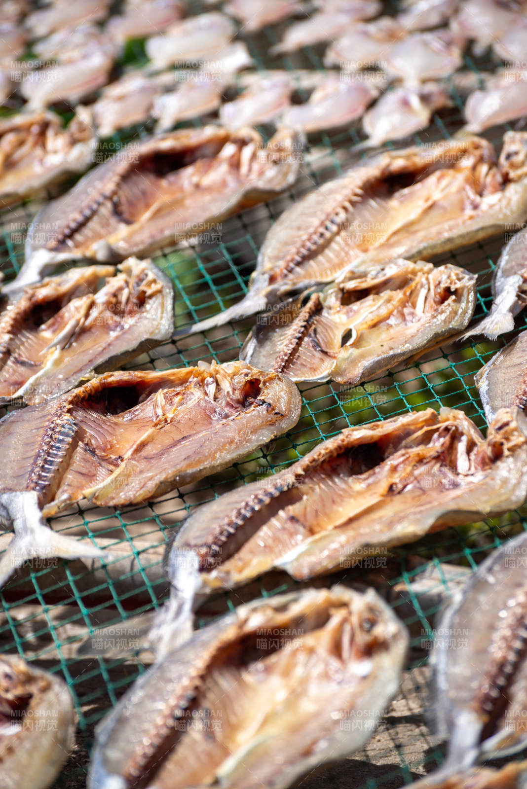 鱼干晒太阳图片