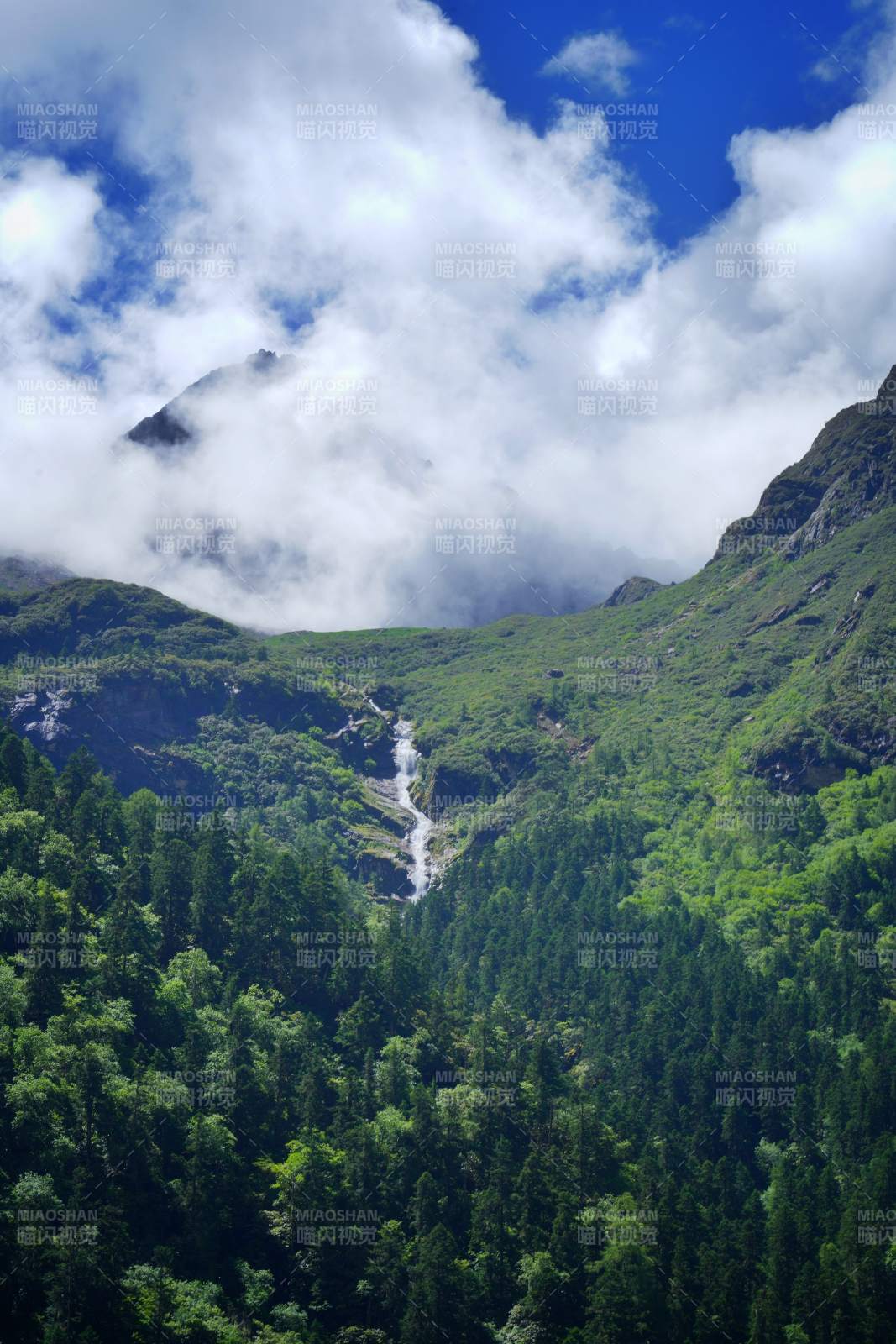 理小路的风景图片