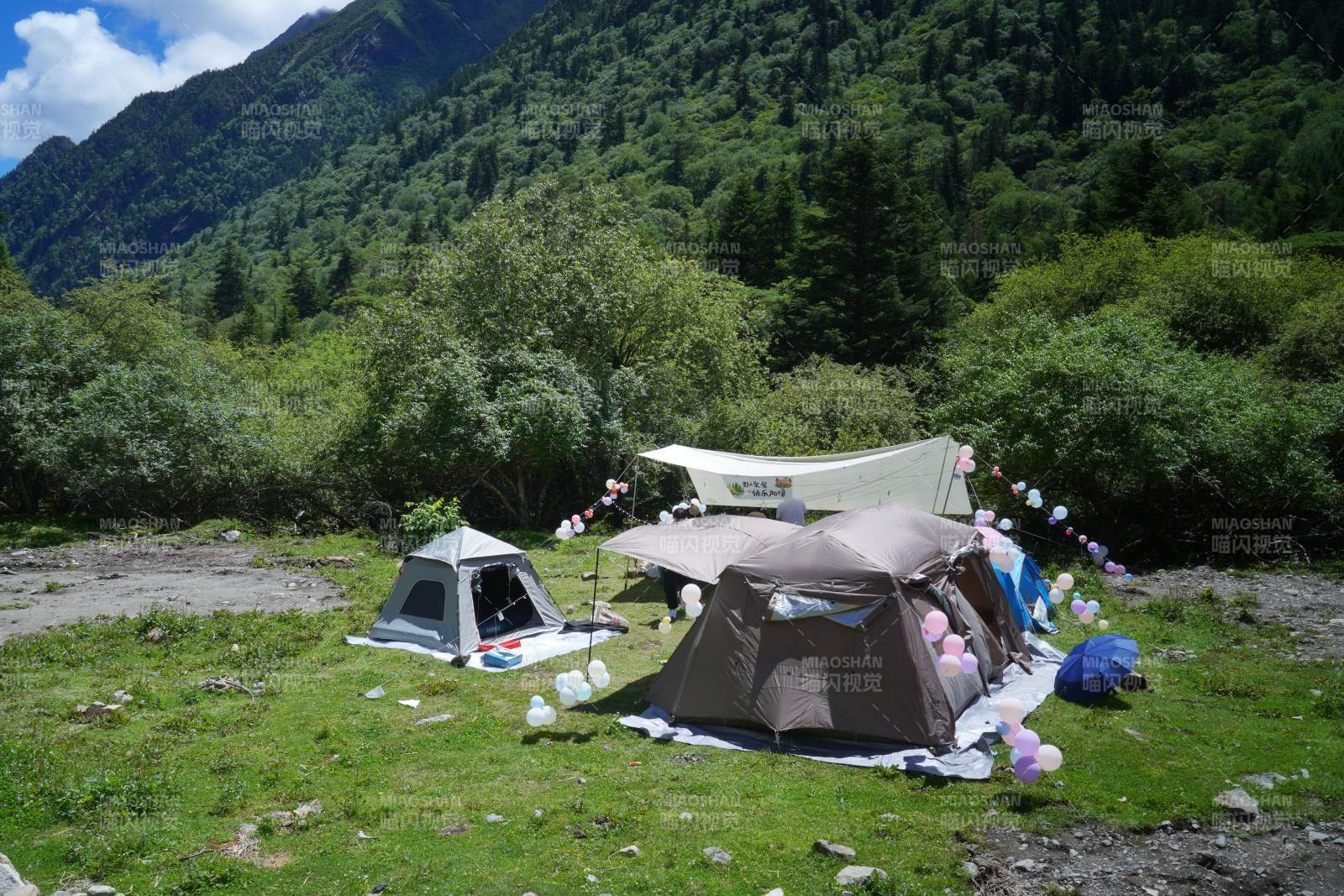 山野露营 绿意盎然图片