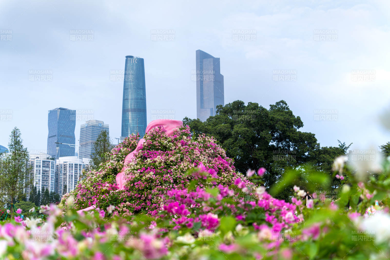 广州珠江新城花海映城景图片