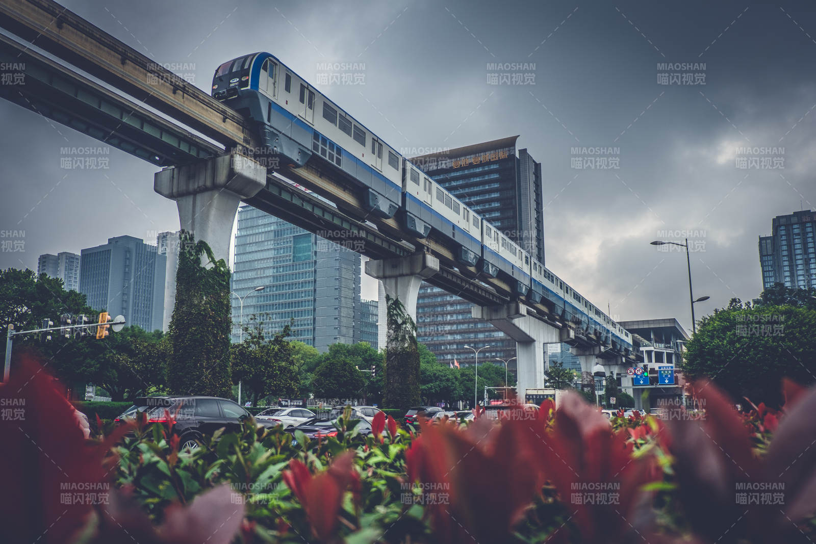 重庆城市轻轨穿行花海图片