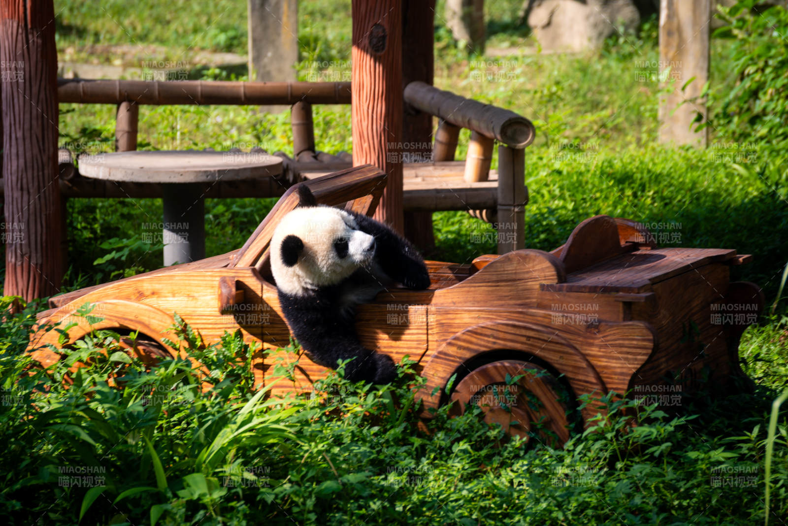 熊猫玩木车图片