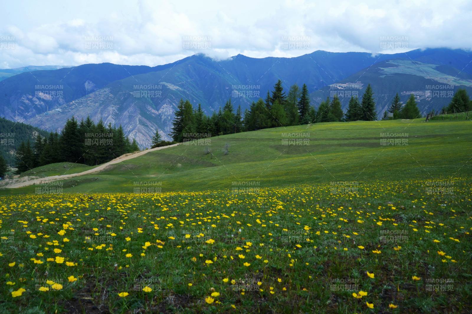 小金县朝山坪图片