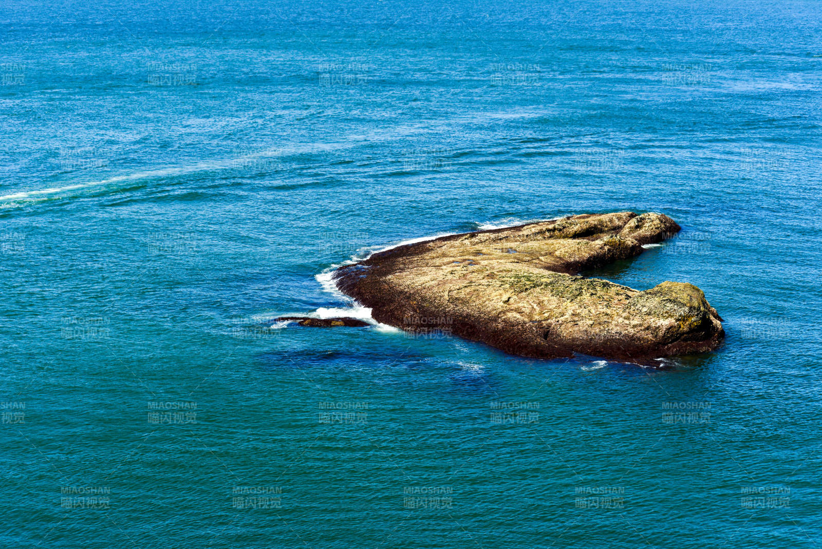 海中心形礁石奇景图片