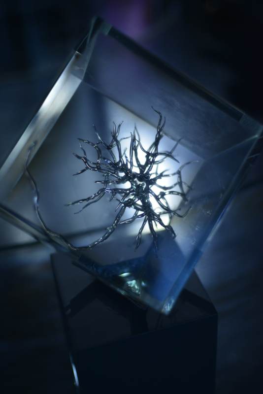 晶盒中的金属枝桠图片