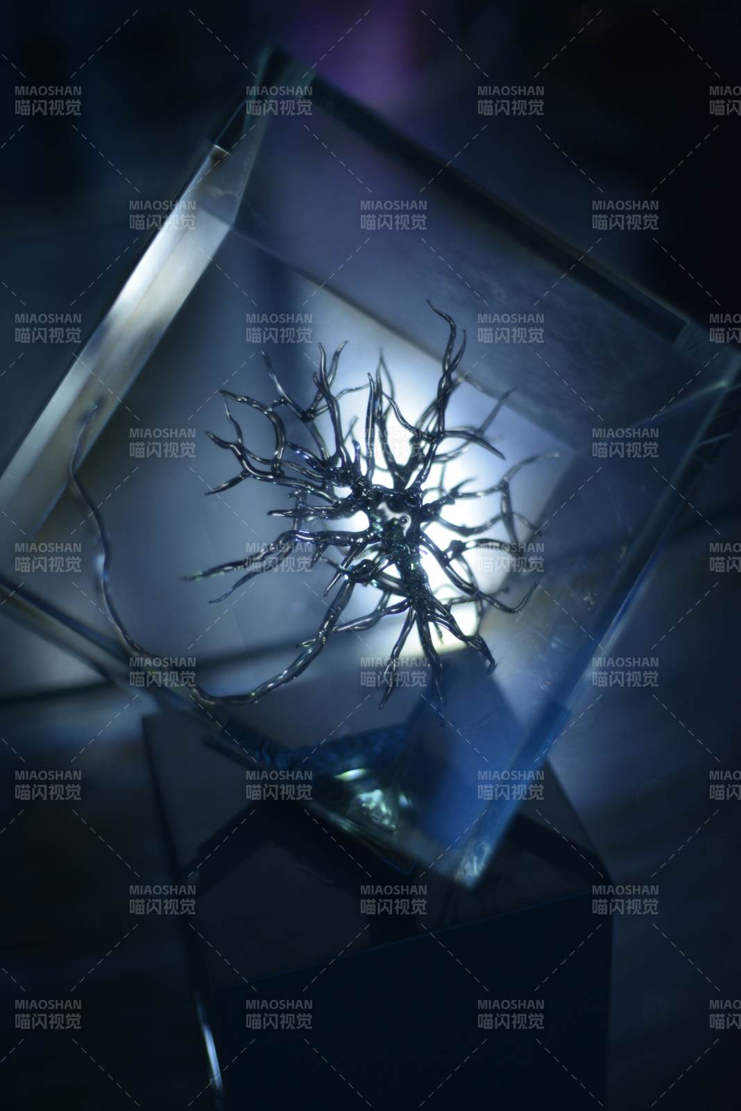 晶盒中的金属枝桠图片