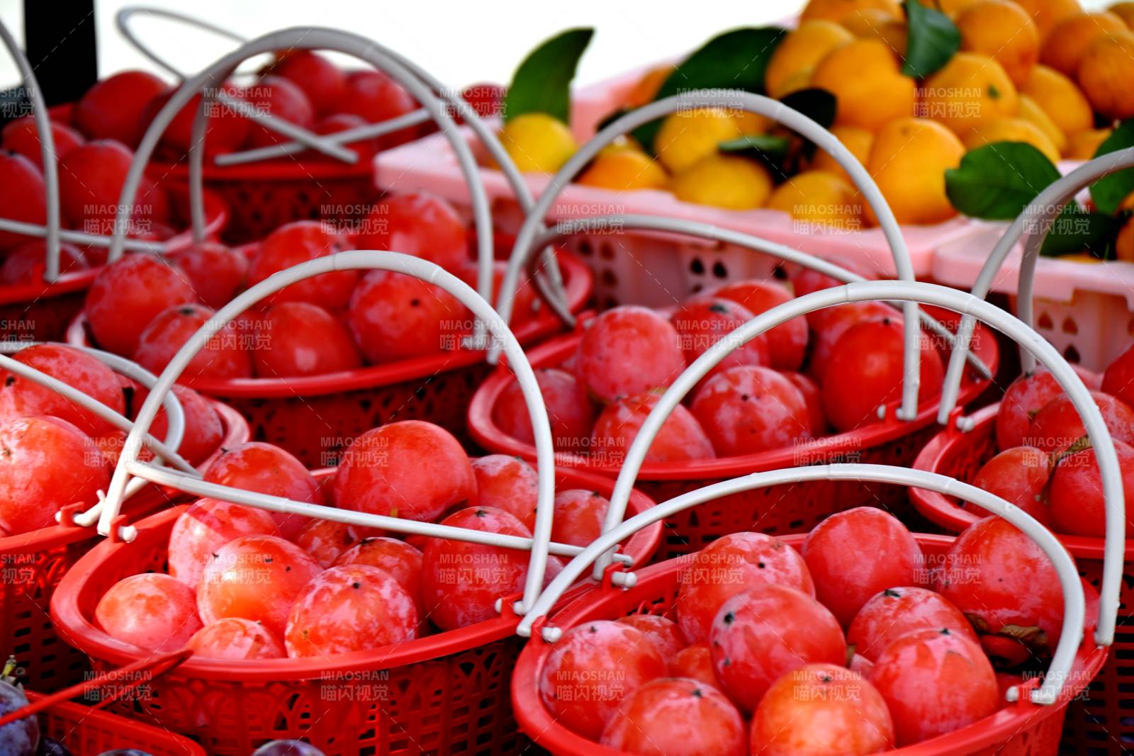 红柿满篮 鲜亮诱人图片