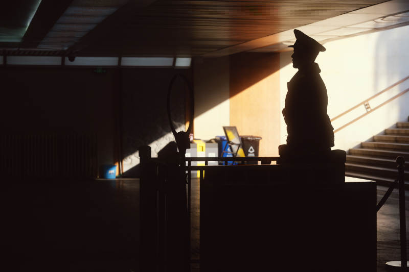 光影中的守卫图片