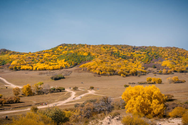 秋日金黄山丘内蒙古乌兰布统五彩山图片