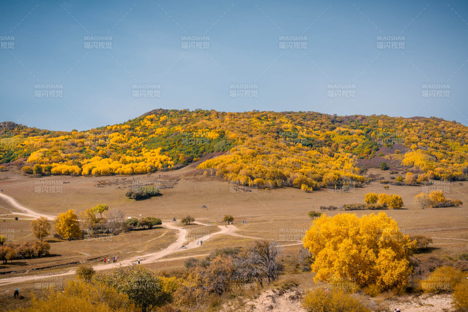 秋日金黄山丘内蒙古乌兰布统五彩山图片