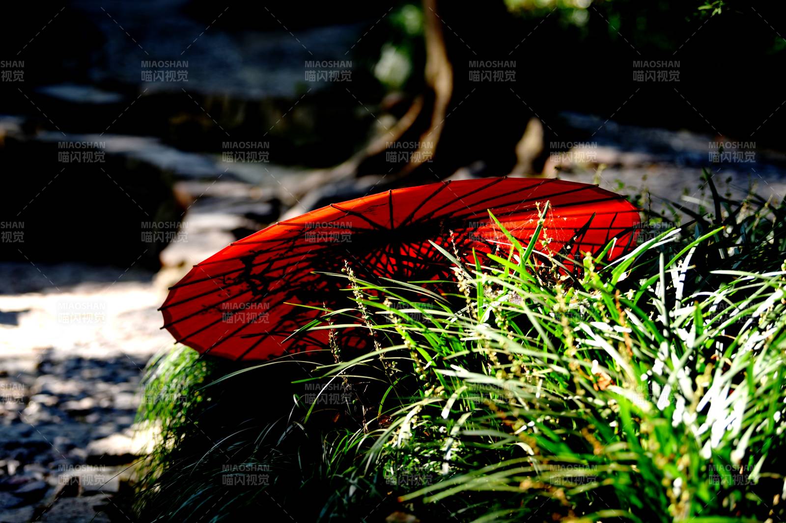 古风红伞映绿草图片