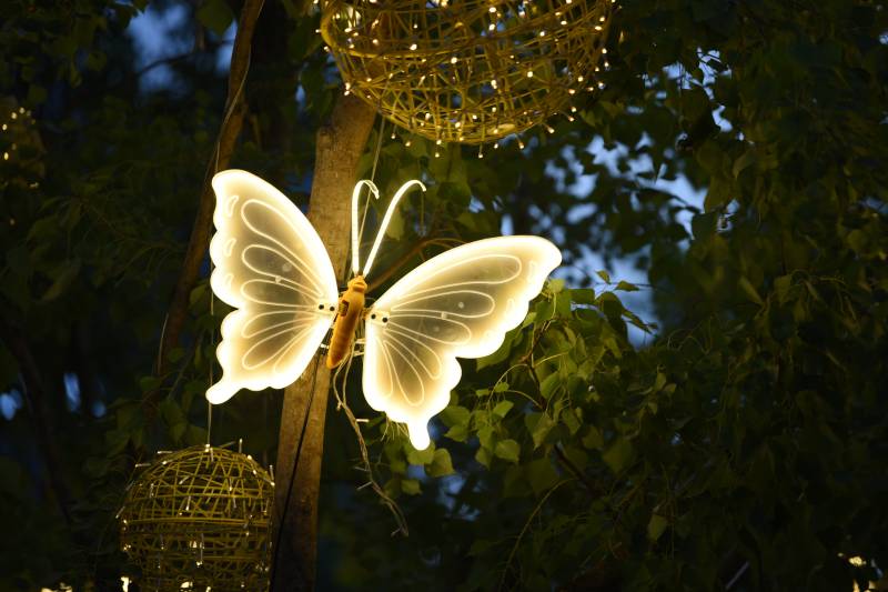 发光蝴蝶艺术装置图片