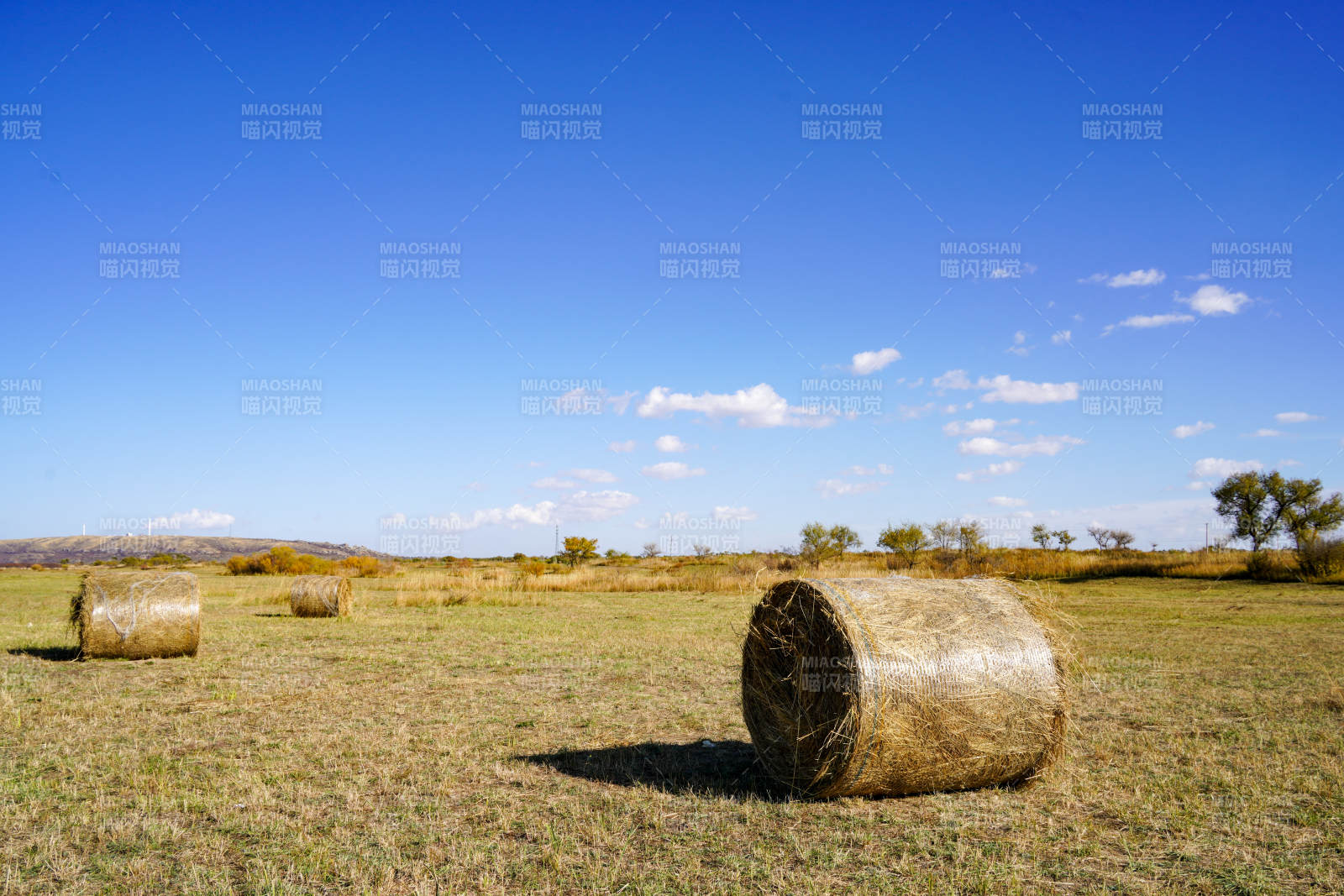 田野上的干草卷图片