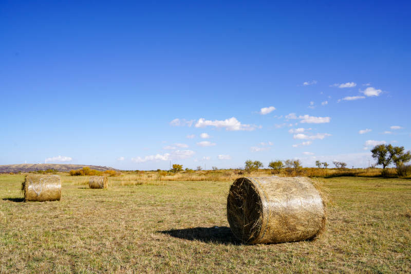 田野上的干草卷图片
