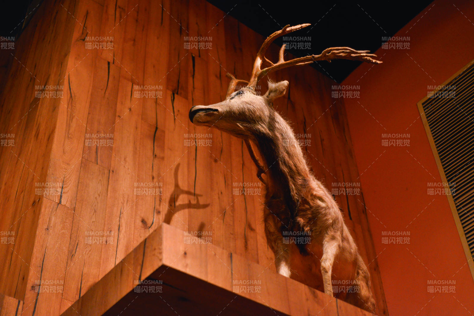 鹿角高悬木墙间图片