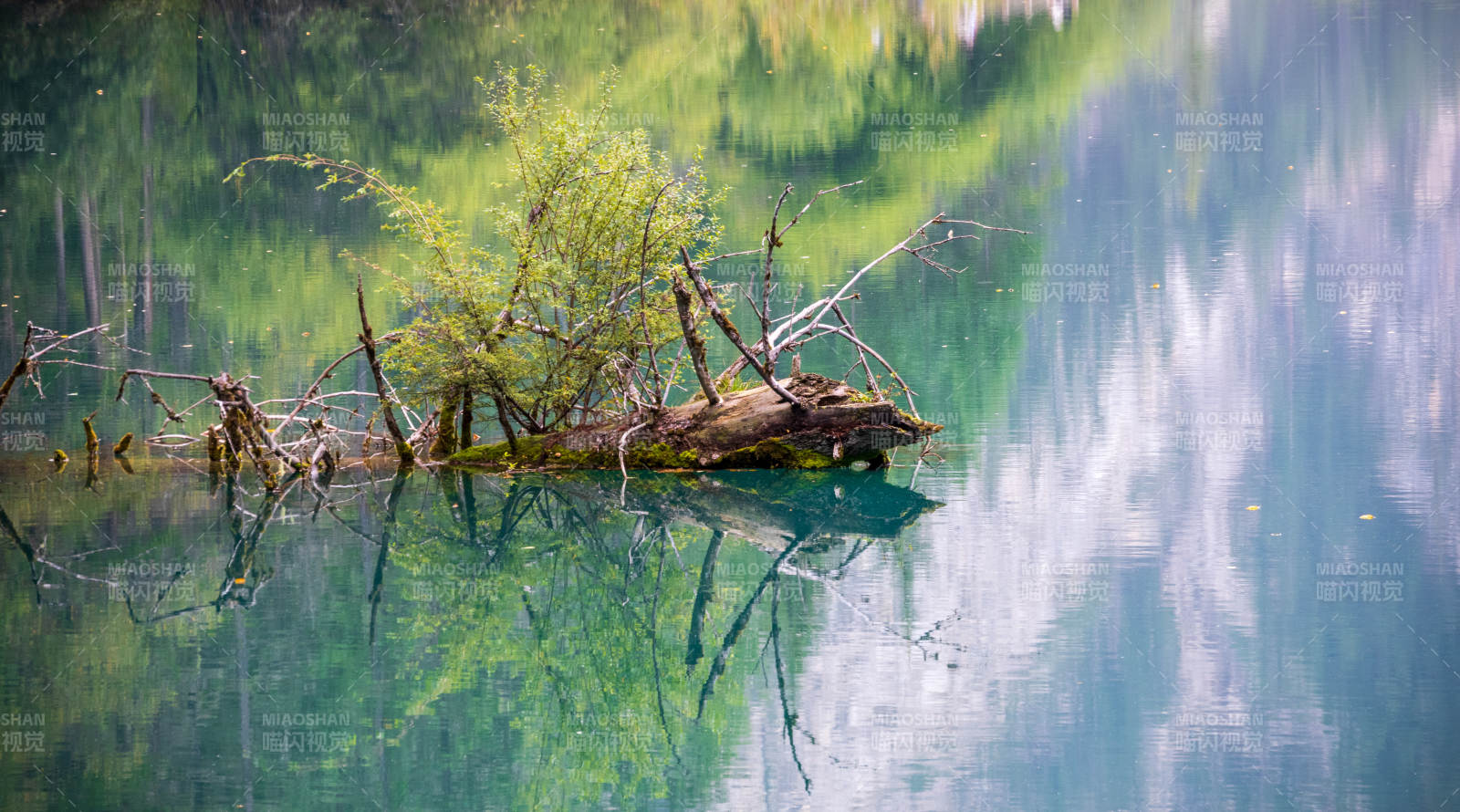 九寨沟的湖畔倒影静谧美图片