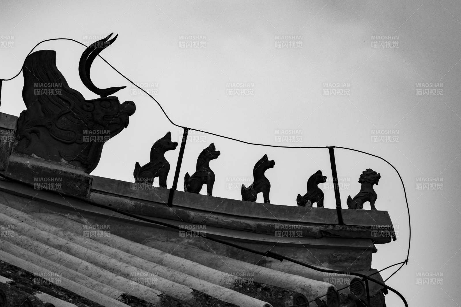 屋脊神兽静默守望图片