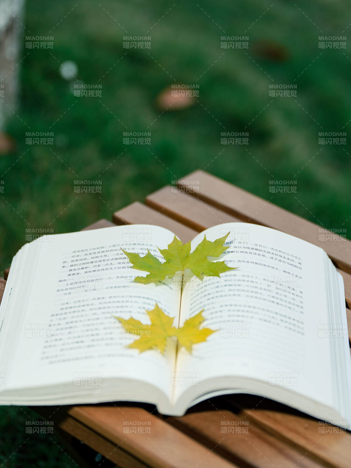 秋叶书页静谧时光图片