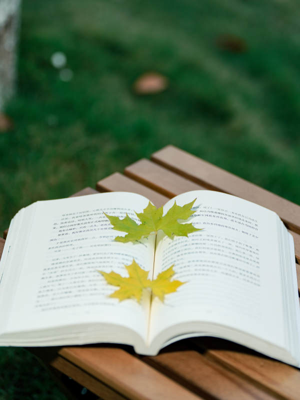 秋叶书页静谧时光图片