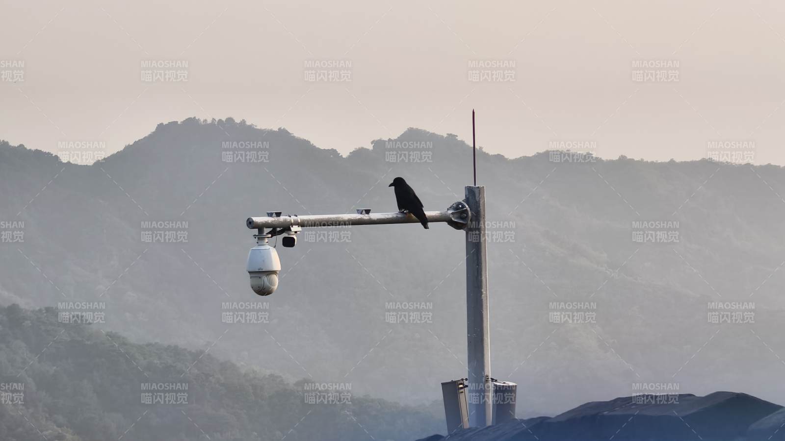 山间监控上的乌鸦图片