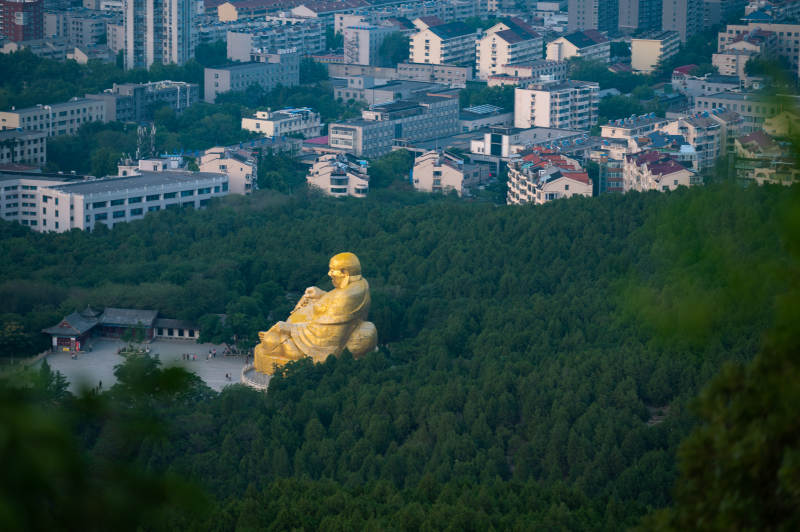 千佛山金佛坐山林 城景相映图片