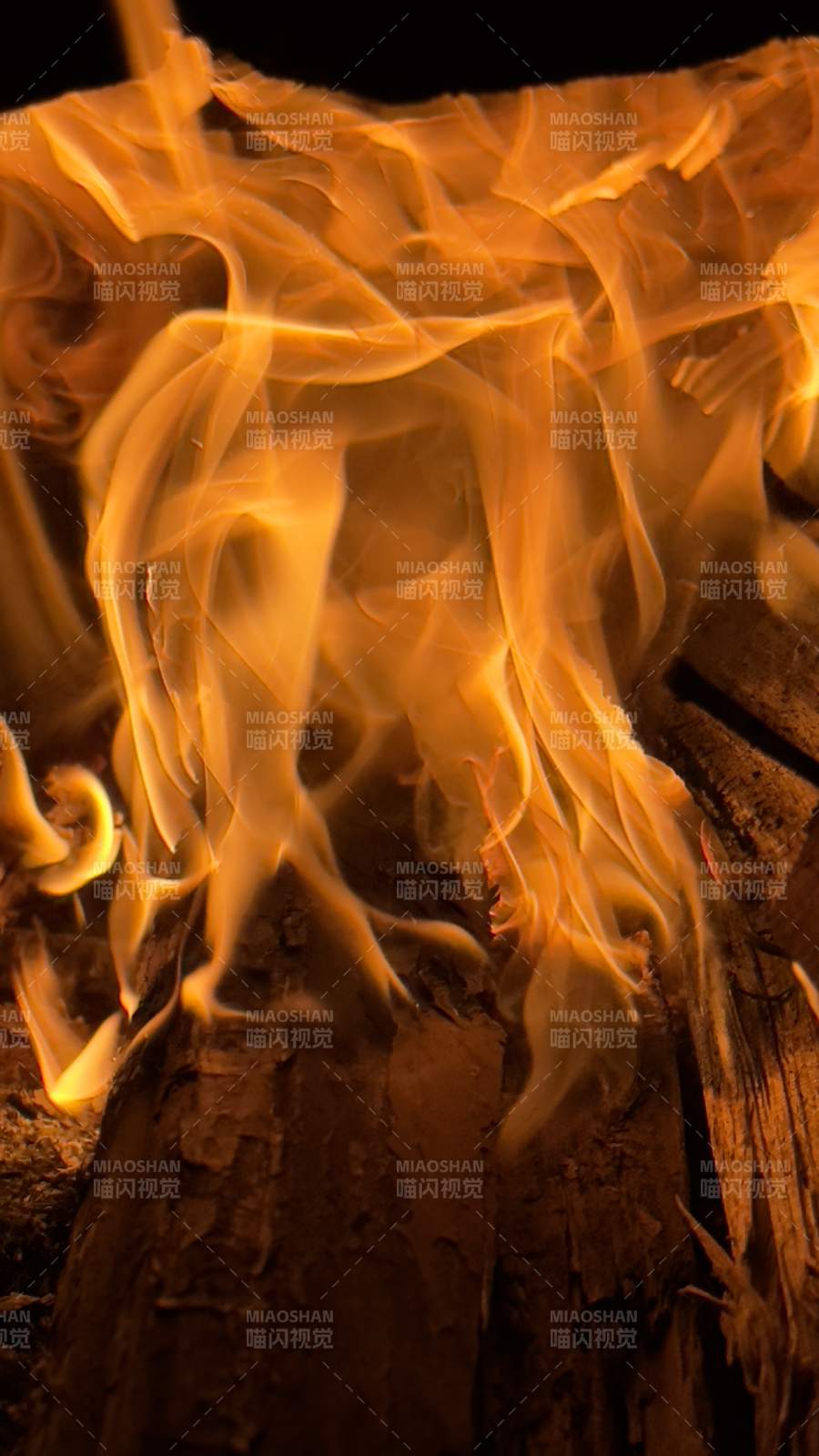 火焰舞动图片