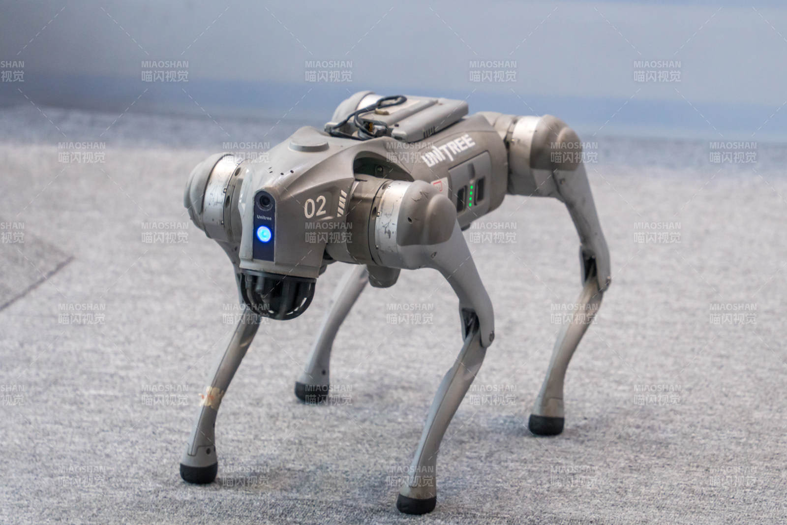 机器狗巡检中图片