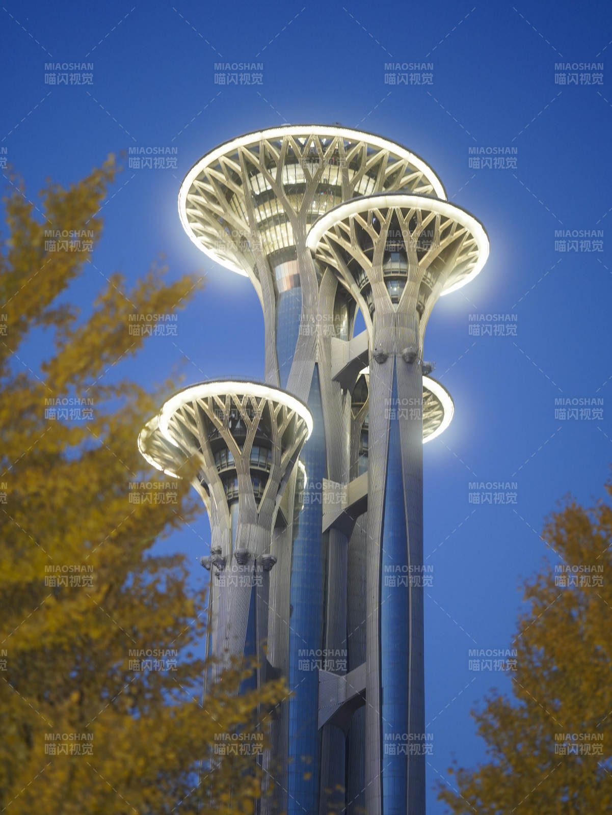 奥运塔夜景图片