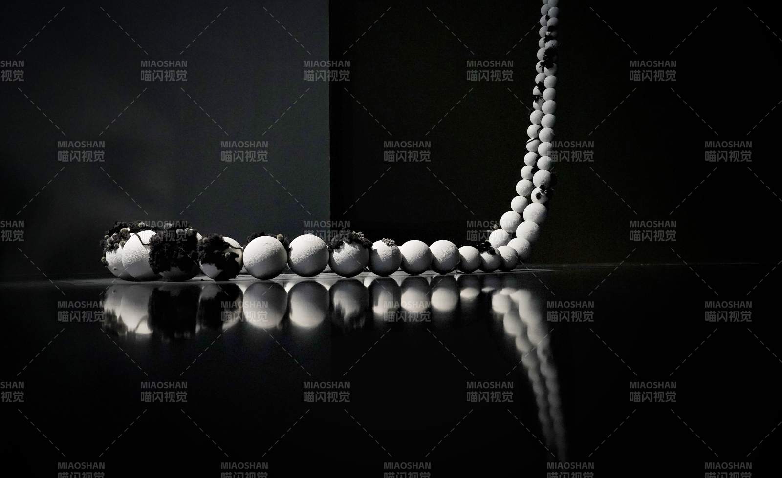 珍珠项链静谧之美图片