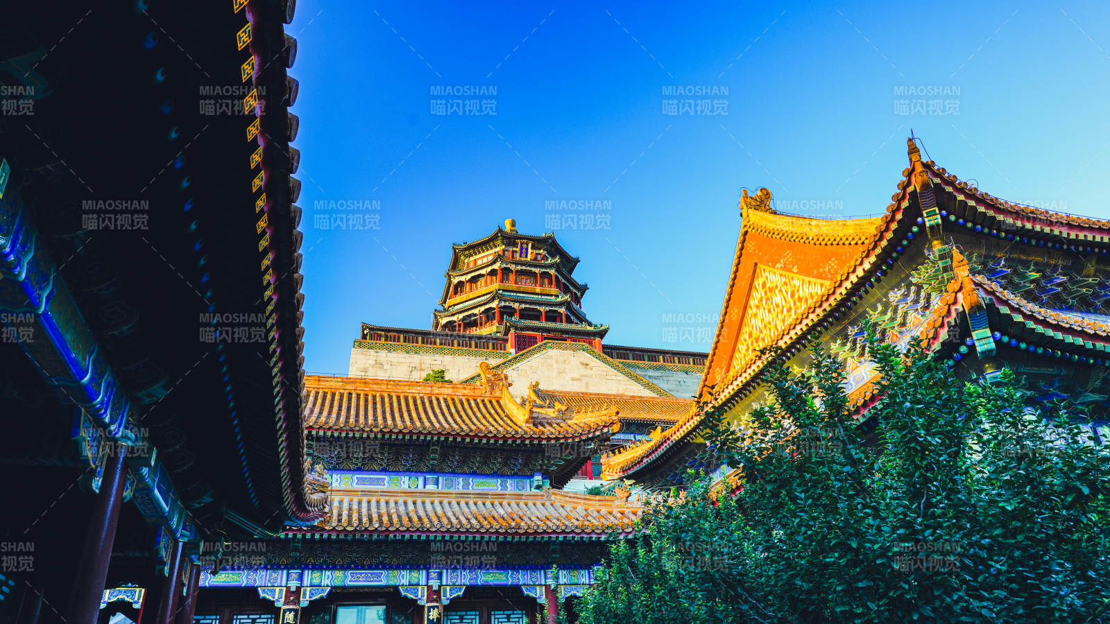 颐和园佛香阁古建筑群夜景图片