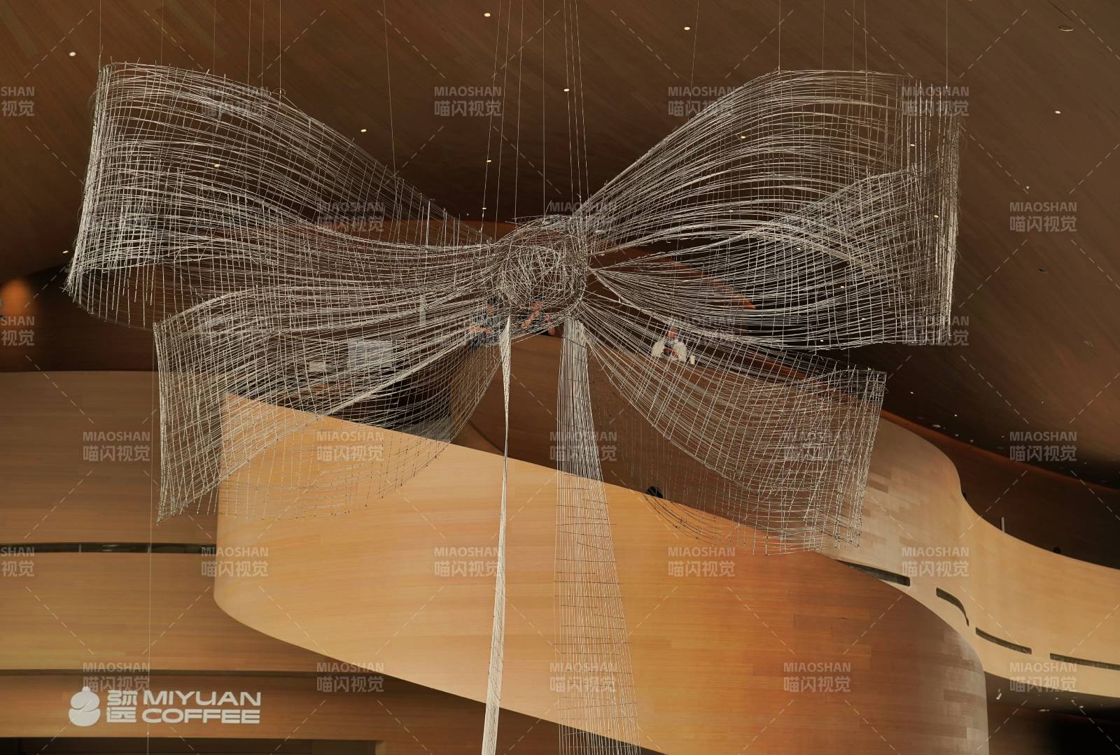 空中丝网蝴蝶结图片