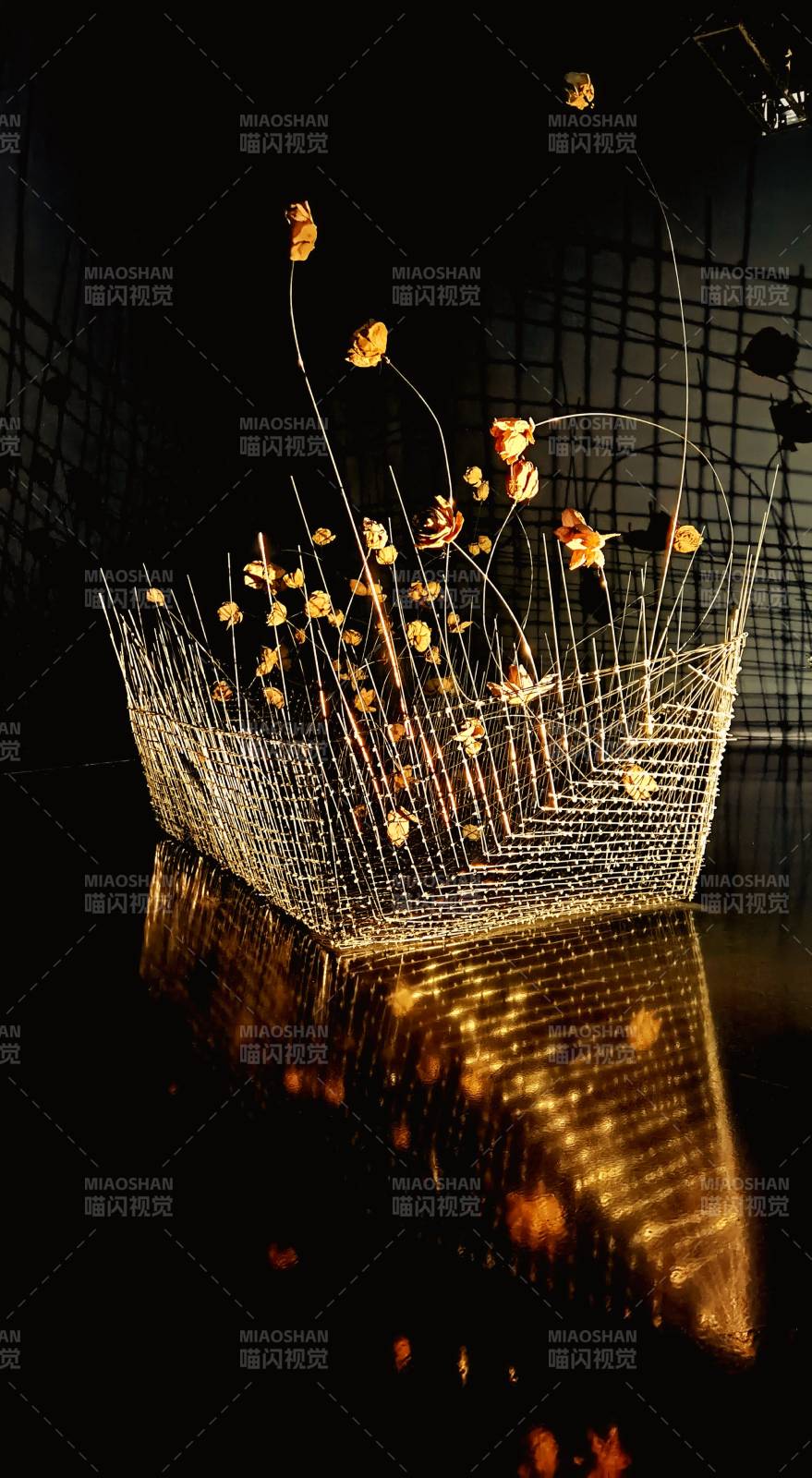 金丝花冠光影艺术图片