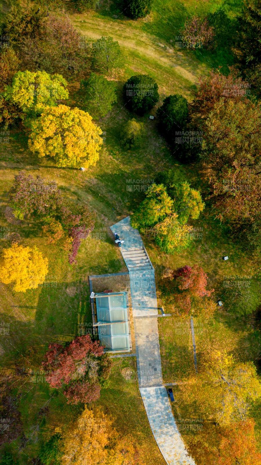 秋日公园俯瞰图图片