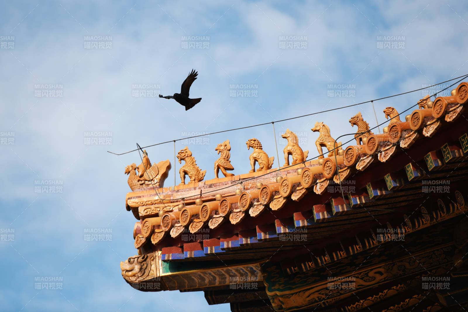 飞鸟掠过古檐脊兽图片