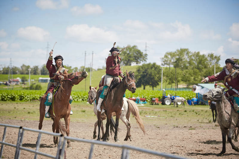 在草原景区表演的蒙古古代骑马打仗演出图片