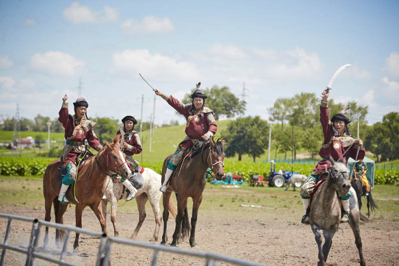 在草原景区表演的蒙古古代骑马打仗演出图片