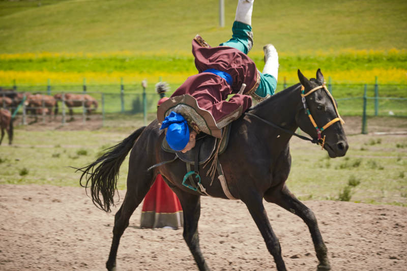 河北省沽源县库伦淖尔景区的蒙古马术表演图片