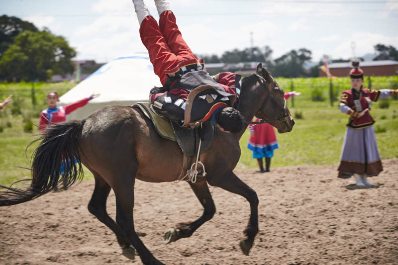 河北省沽源县库伦淖尔景区的蒙古马术表演图片