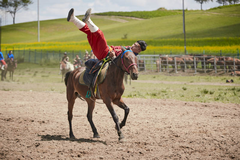 河北省沽源县库伦淖尔景区的蒙古马术表演图片