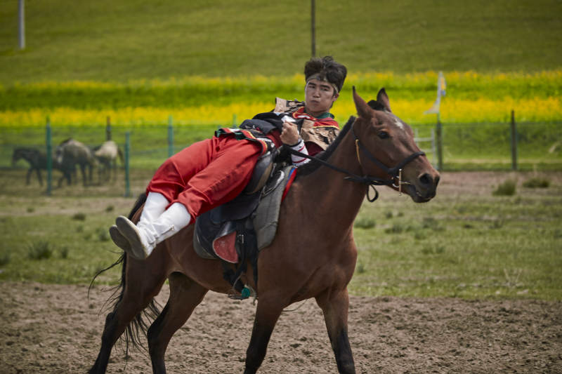 河北省沽源县库伦淖尔景区的蒙古马术表演图片