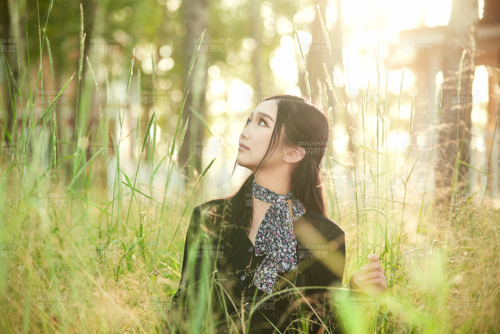 盛夏夕阳照射下花丛草地中的亚洲美女图片