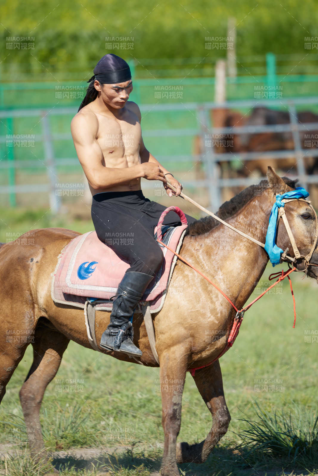在草原景区练习骑马马术的蒙古族演员图片